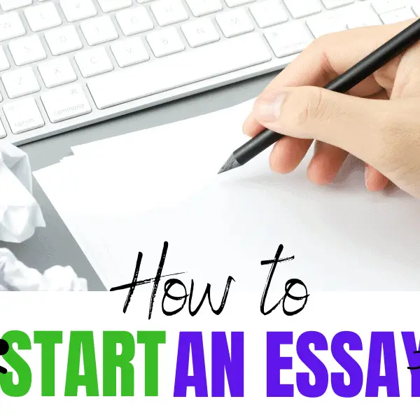 Essay Writing