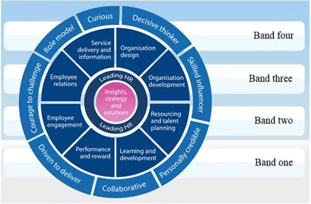 Explore The 10 CIPD Profession Map